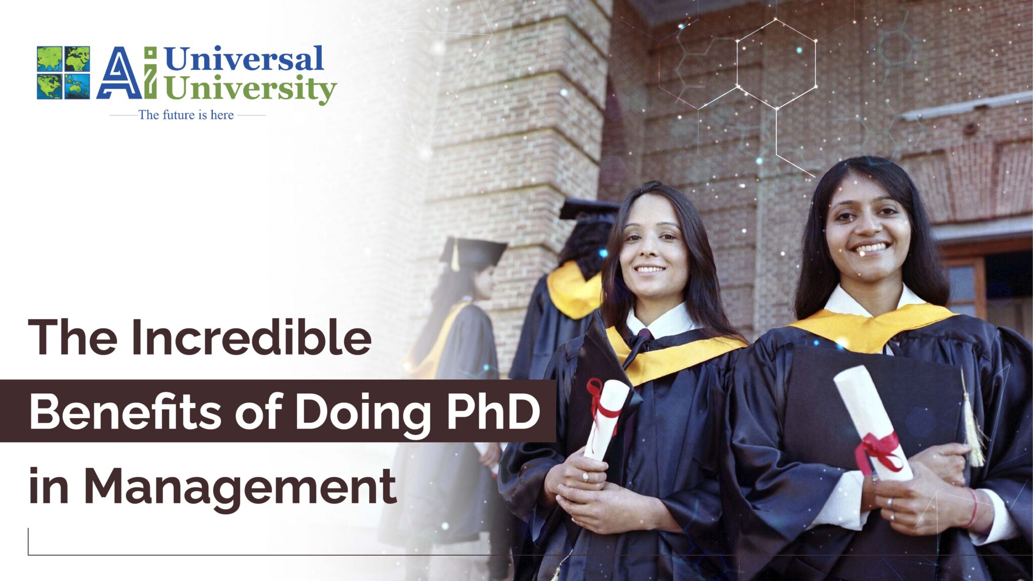 what to do with a phd in management