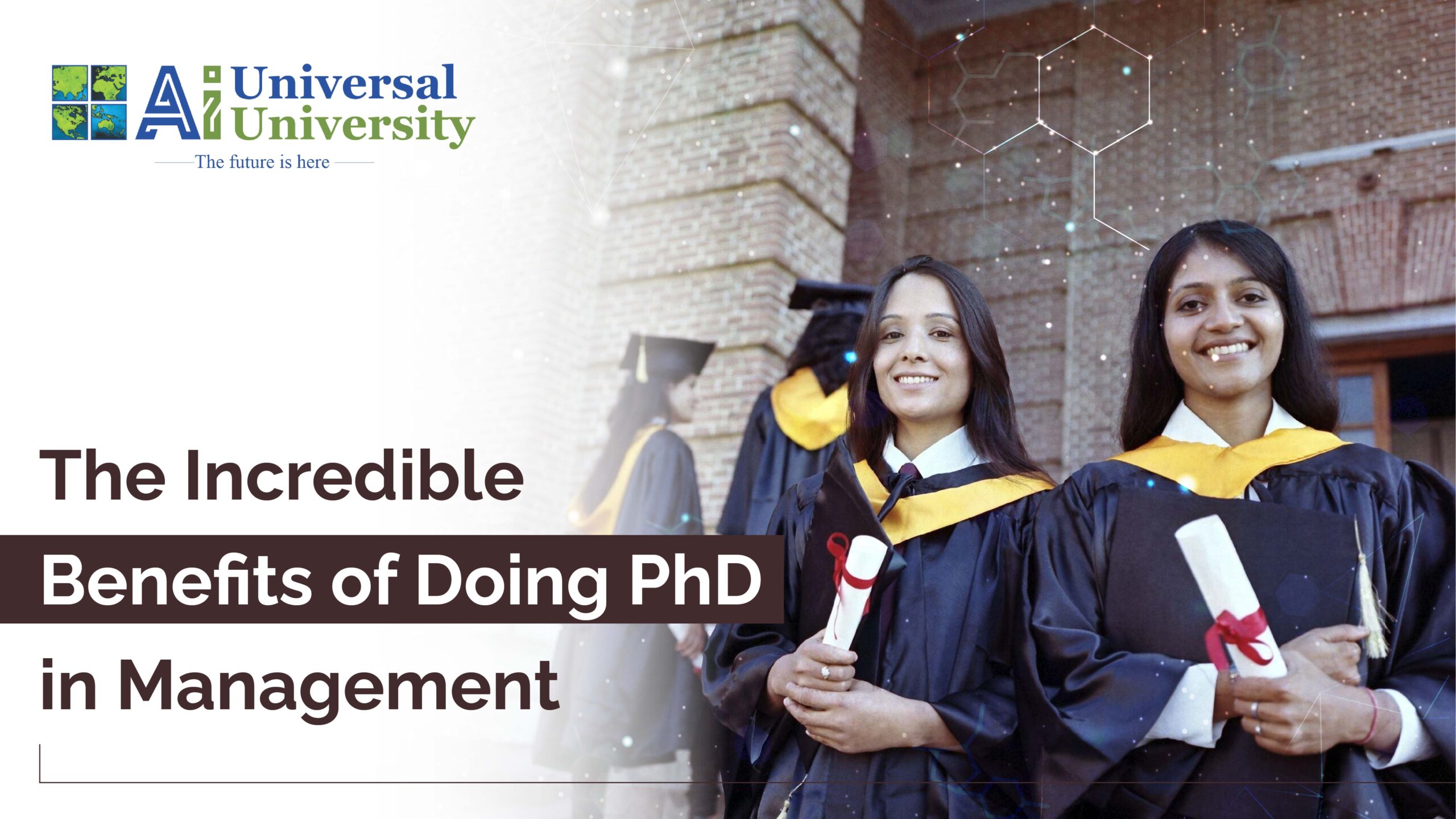 phd in management jobs